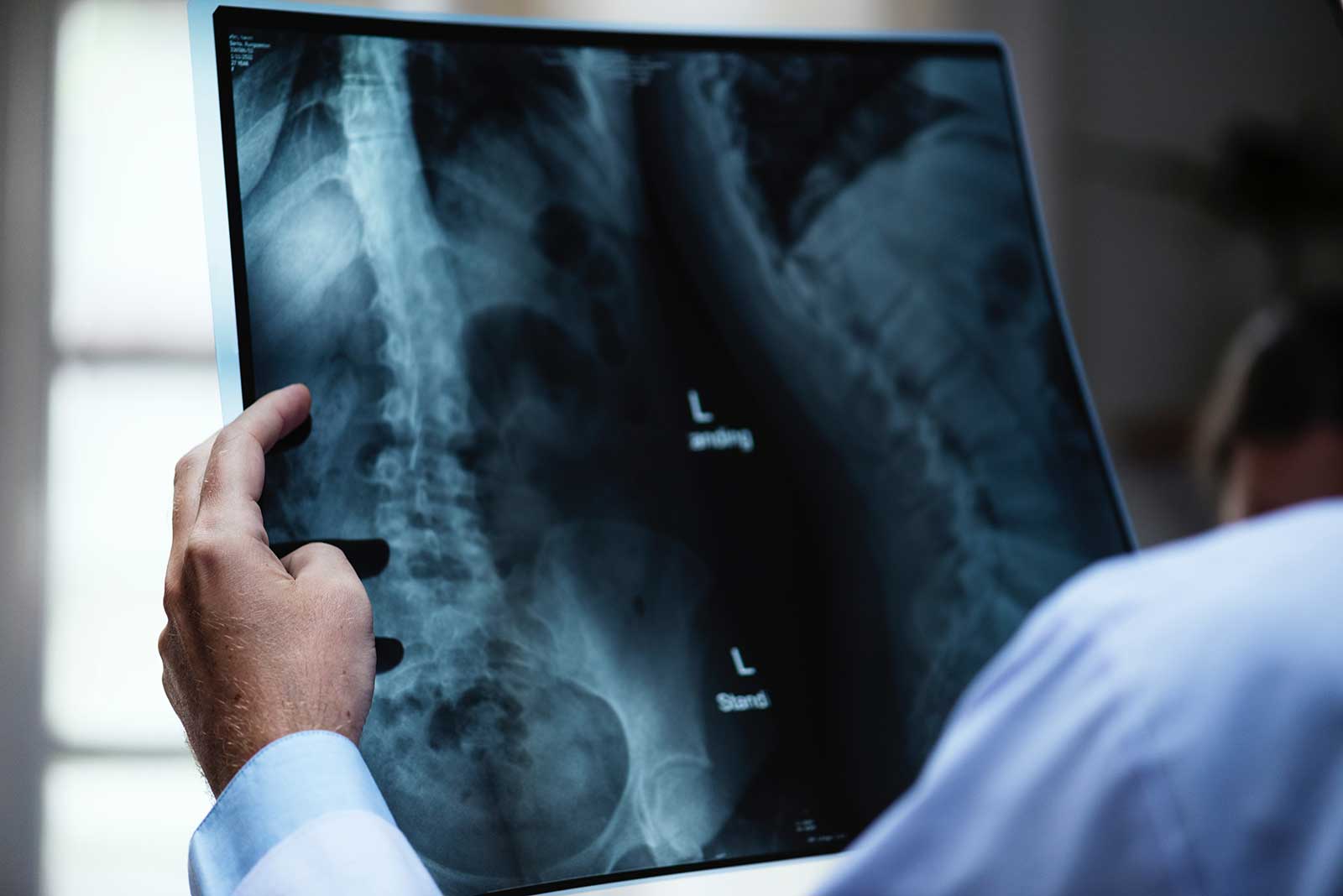 medical-1600-web medical industry x-ray scan